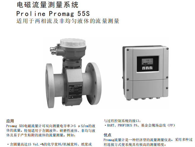 E+H 流量計